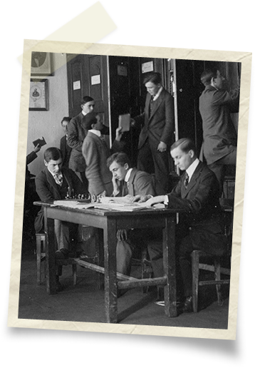 NIB kutatasi platform